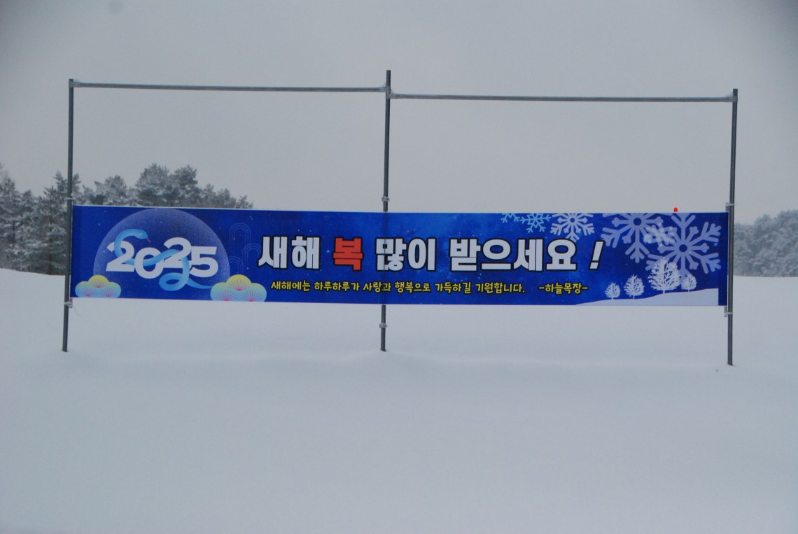 1334bd59438ee142b5386139fabd60af_1737673975_236.JPG